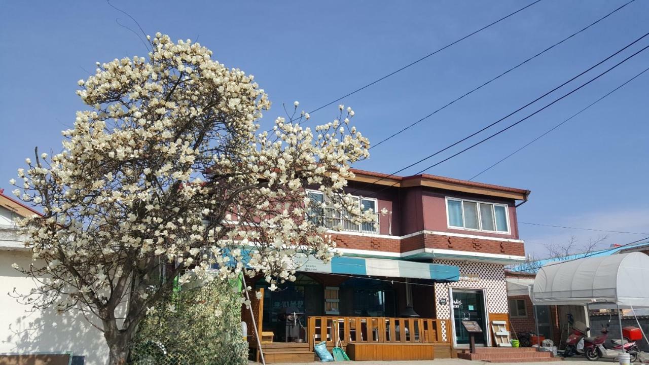 The Guesthouse Dmz Stay 坡州市 外观 照片